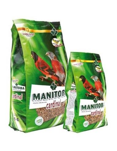 Manitoba, MIXTURA CARDENALITOS CARDINAL spinus 2,5 Kg